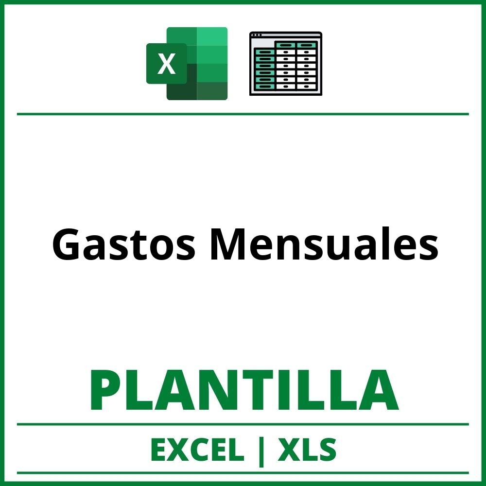 Formato de Gastos Mensuales Excel